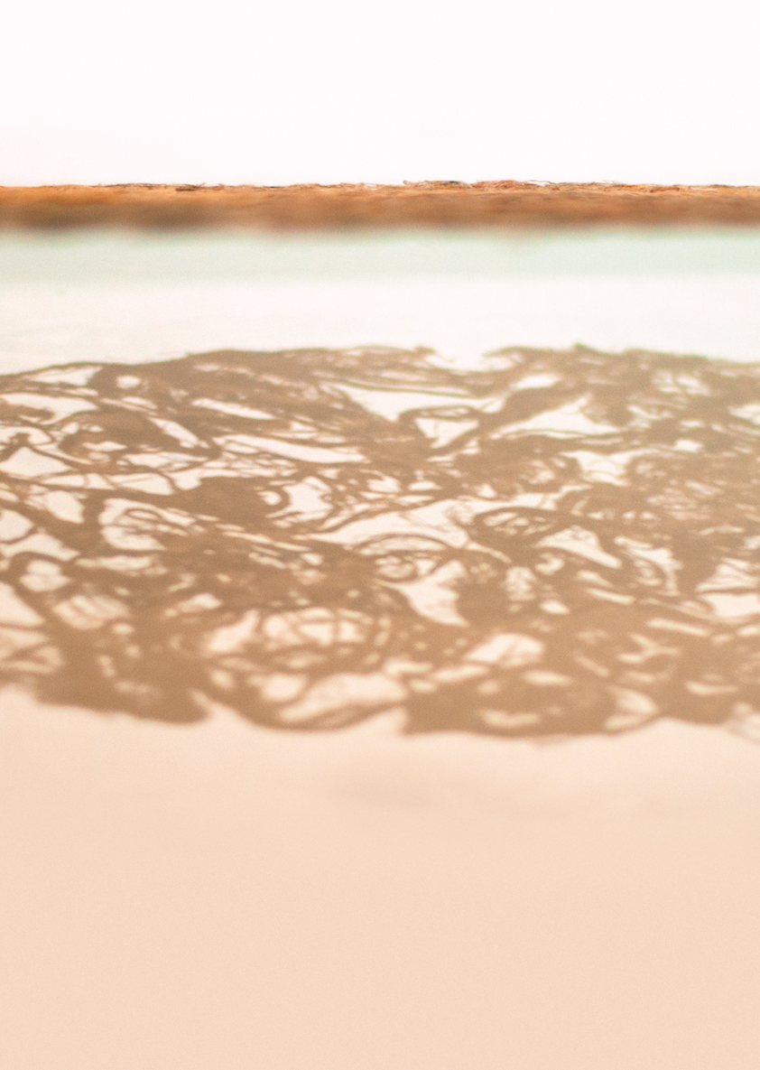 AFFICHE ENTRE LACE MIM ET LAURENCE recherches E