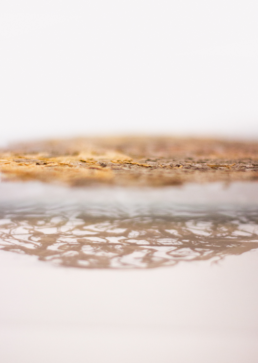 AFFICHE ENTRE LACE MIM ET LAURENCE recherches G