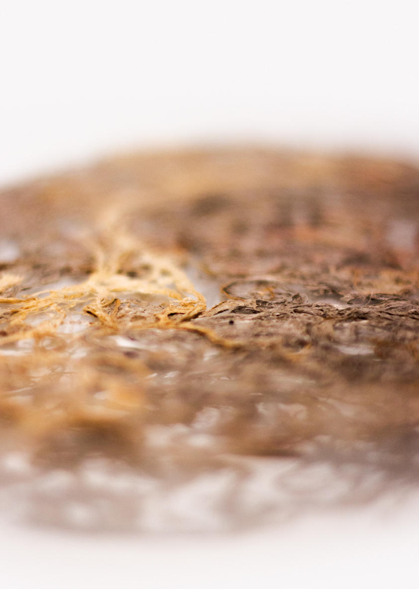 AFFICHE ENTRE LACE MIM ET LAURENCE recherches H